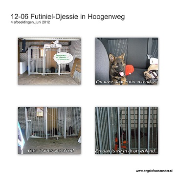 Futiniël-Djessie in Hoogenweg